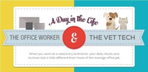 A day in the life of a veterinary technician