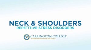 Massage Therapy Techniques for Neck and Shoulder Areas