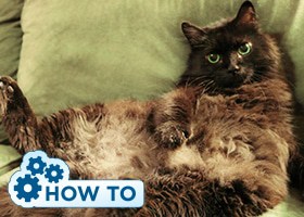 How to Sit with Proper Posture