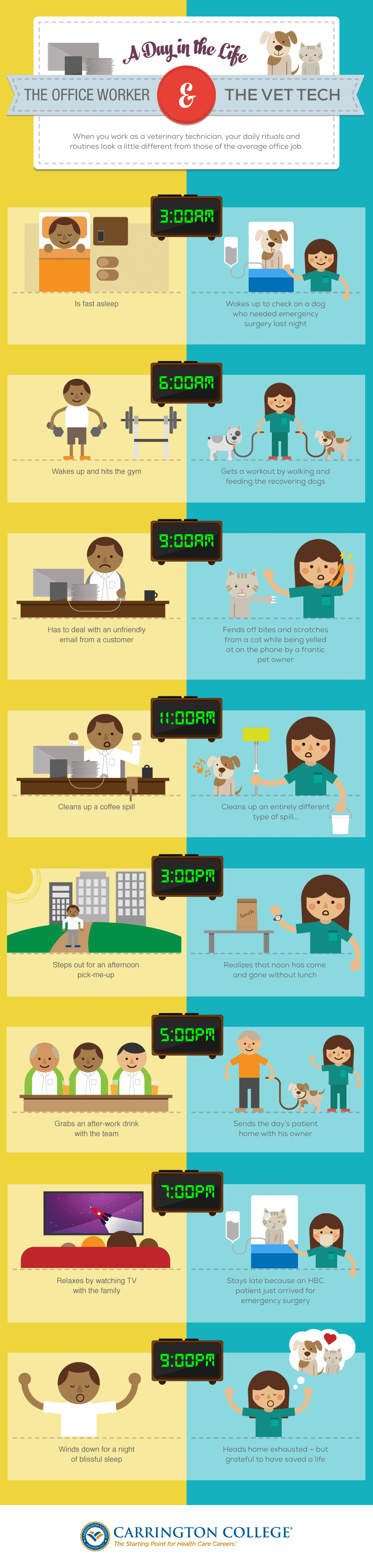 A Day in the Life of a Vet Tech