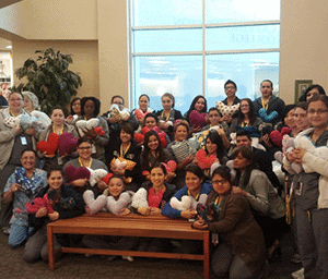 Carrington College Heart Pillows