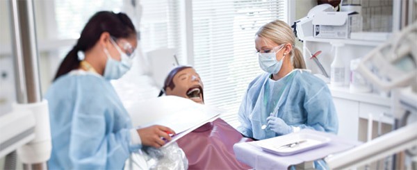 Dental Assistant and Hygienist Dental Assistant and Hygienist Training