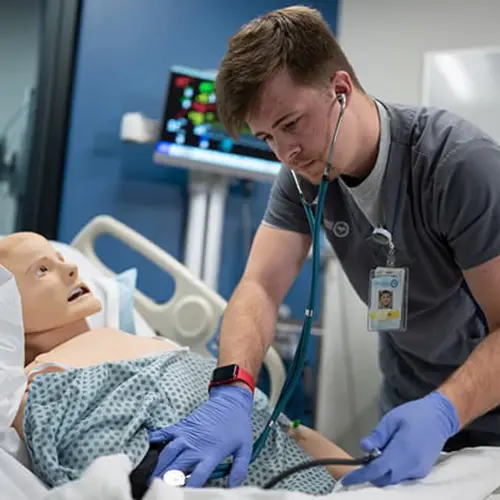 Carrington Bachelor Of Science Program Details