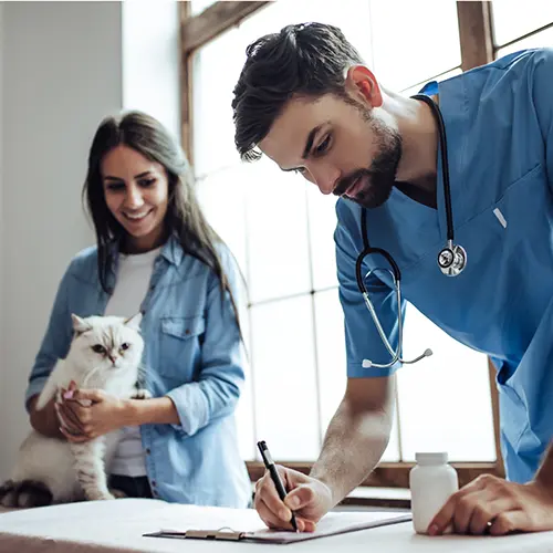 Carrington Veterinary Assisting Career Opportunities