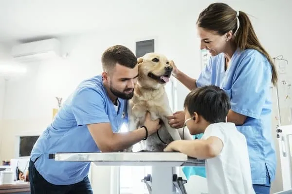 vet and vet assistant