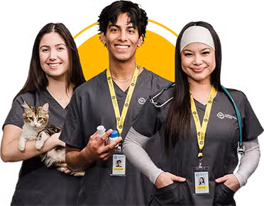 Carrington College Mobile Hero Image